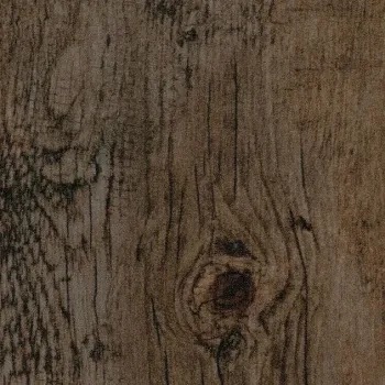 „Girloon Cara 233025 – Velours Teppichboden in wohnlicher Raumansicht mit strukturierter, strapazierfähiger Oberfläche in 400 cm Breite“